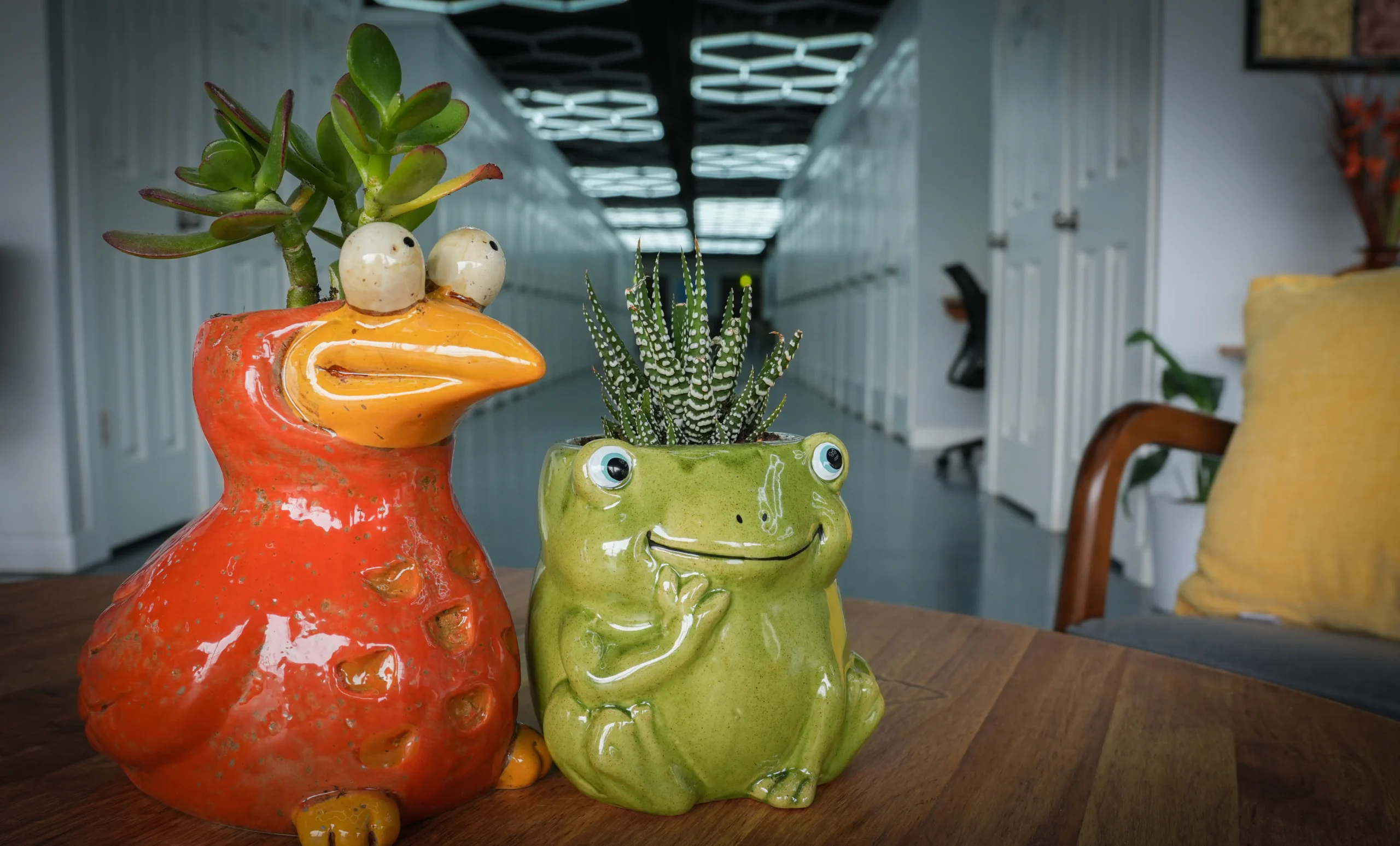 MicroOffice Solutions interior