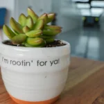 MicroOffice Solutions interior