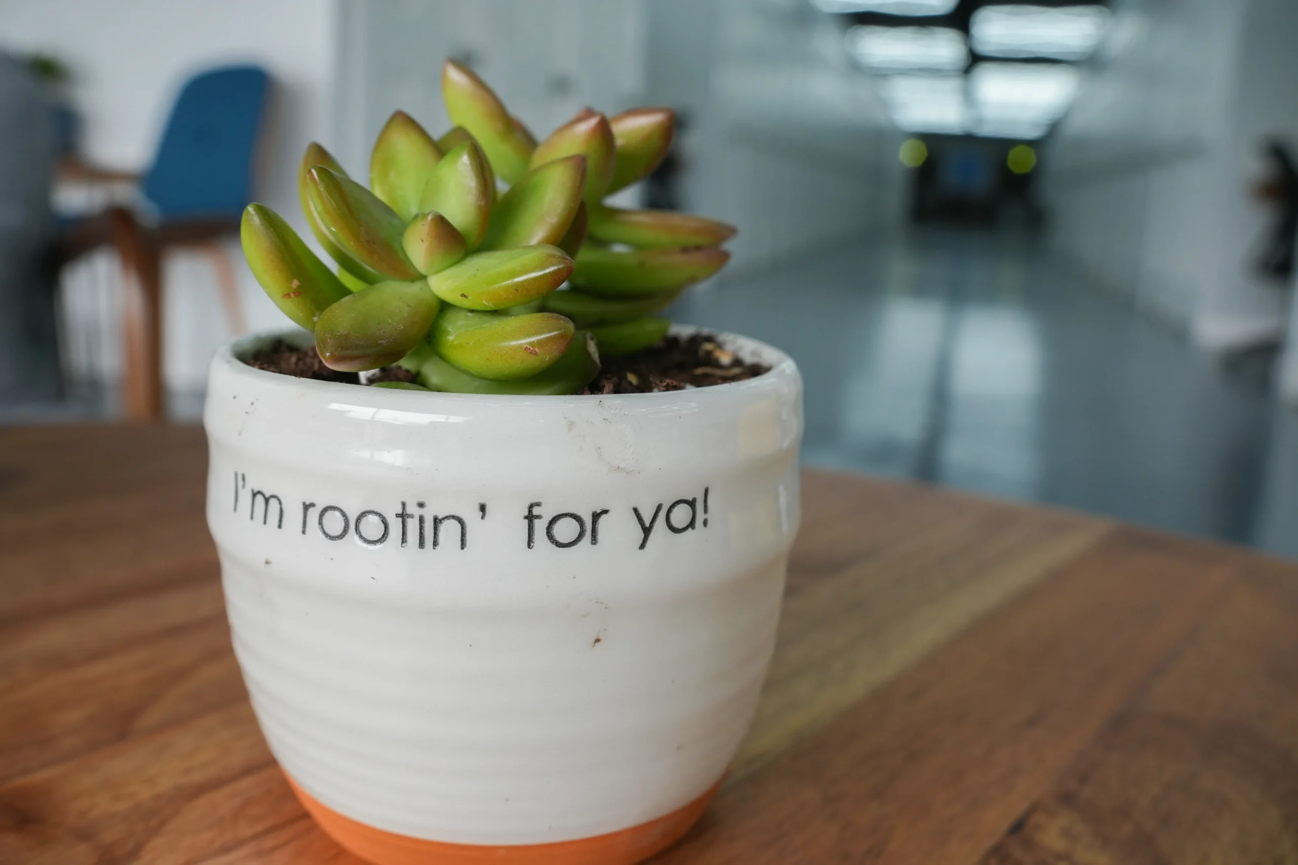 MicroOffice Solutions interior