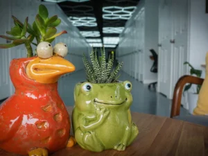 Quirky ceramic bird and frog planters with succulents on a table at MicroOffice Solutions Casper Wyoming with hallway of micro-office suites visible in background