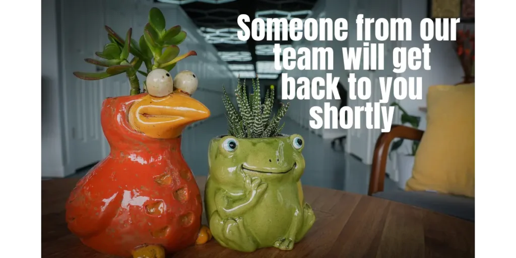 Ceramic bird and frog planters in the MicroOffice Solutions office in Casper, Wyoming