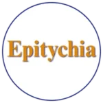 Icon with the name Epitychia - a Wyoming based payment processing consulting firm